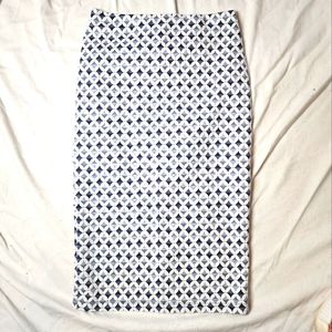 Zara Pencil Skirt